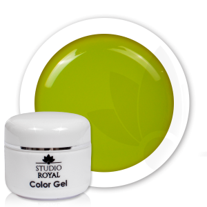 Royal Nails Color Gel: Studio Royal Nail-Art Color Gel Nr. 47 Lake Green