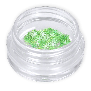 Royal Nails Hologramm: Deko-Blumen grün