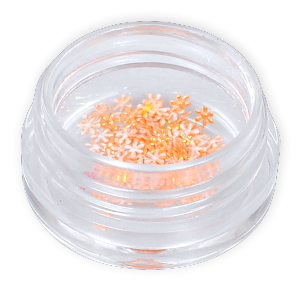Royal Nails Hologramm: Deko-Blumen orange
